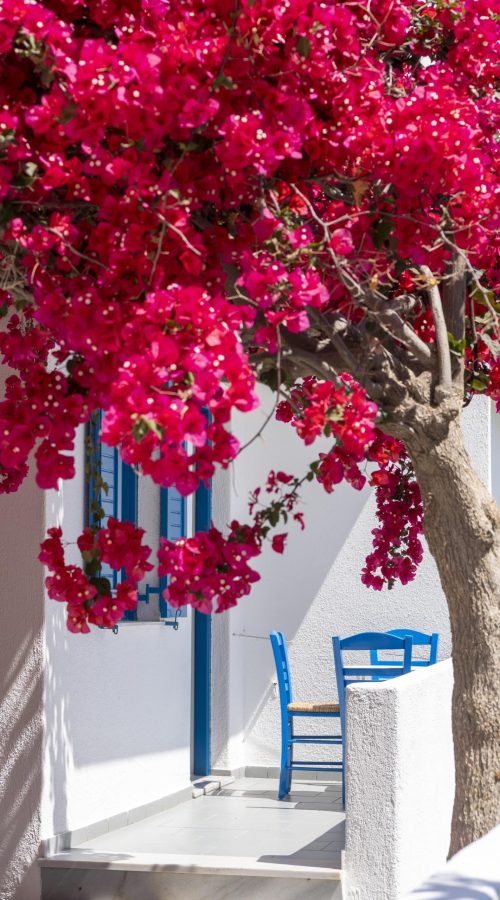 Exterior | Ayeri Hotel | Parikia, Paros